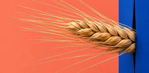 Продажи через дистрибьютора: какие конверсии считать на сайте производителя