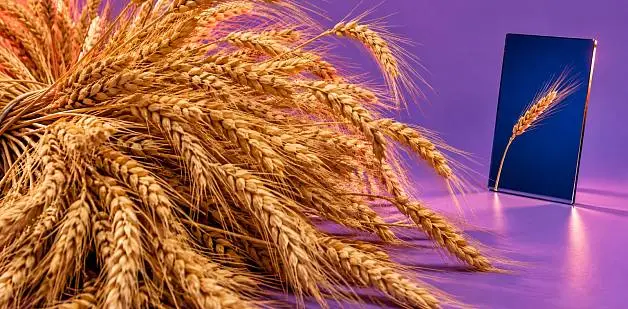 Корпоративный сайт агрохолдинга: что показать банкам, партнёрам и инвесторам